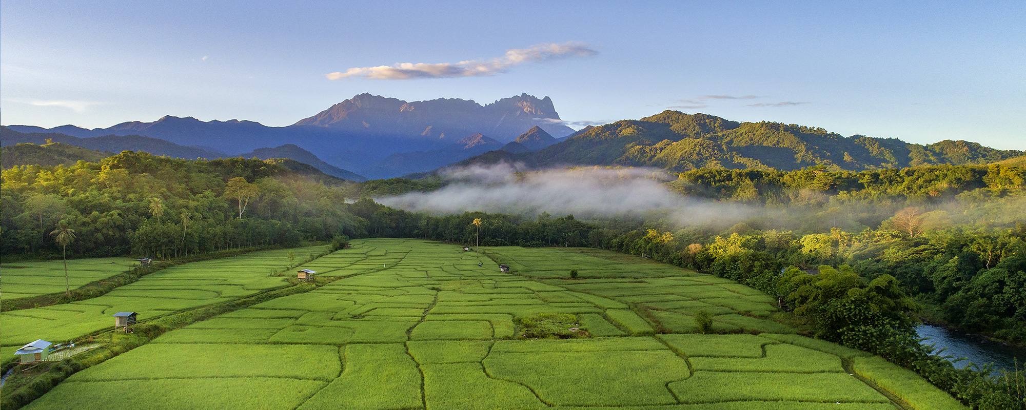 The Borneo Expedition – Experience Borneo Like Never Before